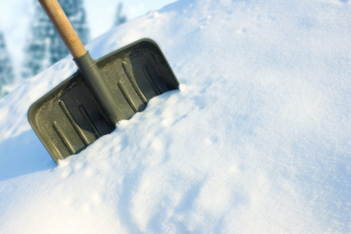Shovel in the snow
